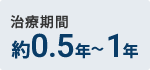 約0.5年～1年