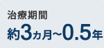 約3ヵ月～0.5年