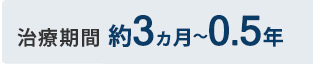 約3ヵ月～0.5年